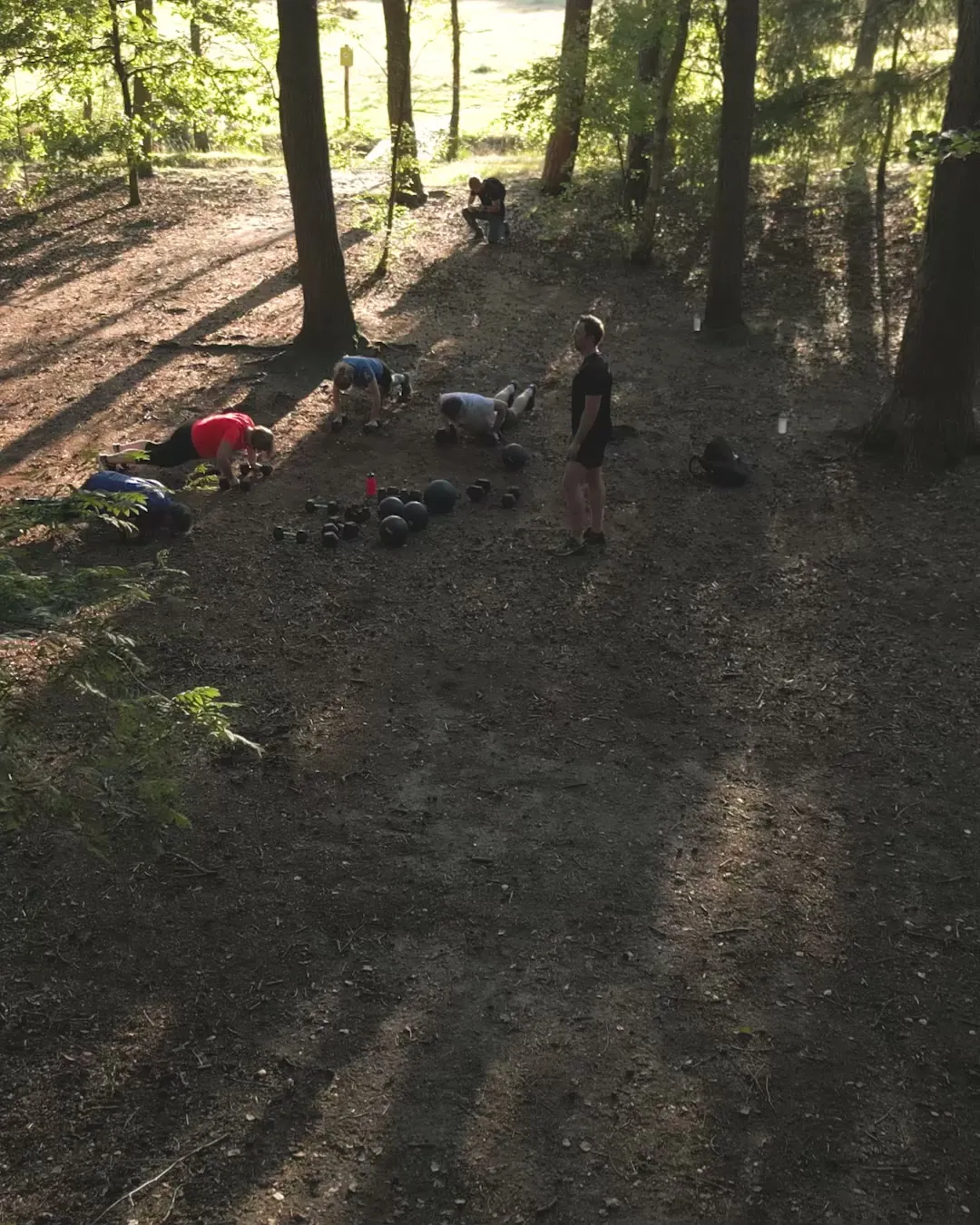 Groep traint op een bospad bij Driebergen in het ochtendlicht