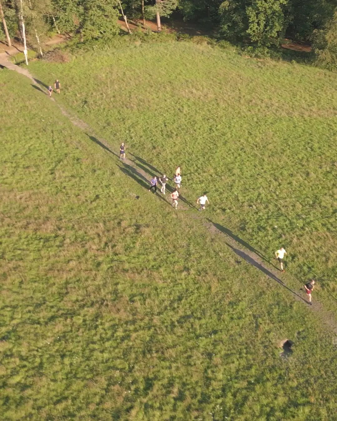 Groep hardlopers met lange schaduwen op de Utrechtse Heuvelrug, drone opname
