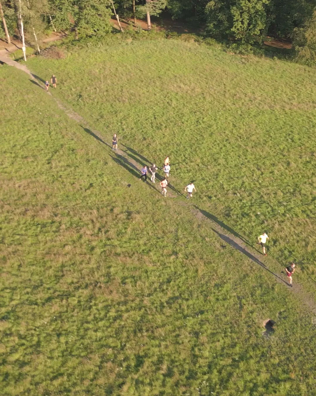 Groep hardlopers met lange schaduwen op de Utrechtse Heuvelrug, drone opname